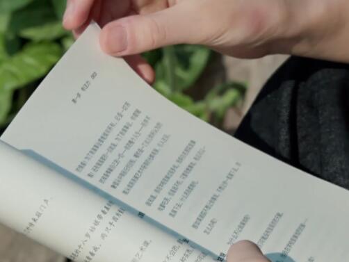 雅思考试全解析，一文带你了解！