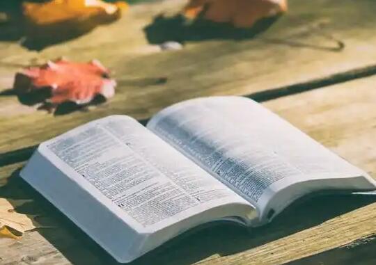 教你如何脱下戴着“否定”面具的虚拟语气